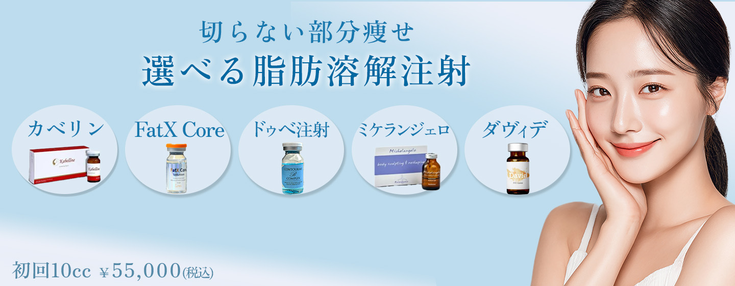 切らない部分痩せ 選べる脂肪溶解注射｜症例写真・料金・予約案内